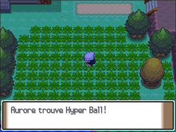 Fichier:Forge Fuego Hyper Ball Pt.png