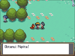 Fichier:Route 25 Pépite HGSS.png