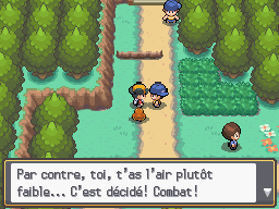 Route 30 Gamin Farouk HGSS.png