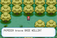 Bois Baies Baie Willia RFVF.png