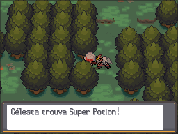 Bois aux Chênes Super Potion HGSS.png