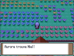 Pré Floraville Miel 4 Pt.png