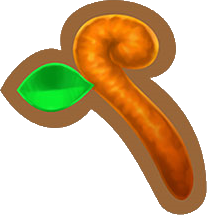 Branche-PMDM.png
