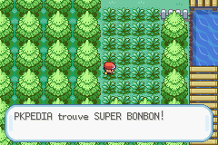 Route 12 Super Bonbon RFVF.png