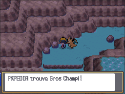Route 27 Gros Champi HGSS.png
