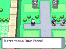 Route 212 Super Potion DP.png