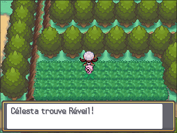 Route 36 Réveil HGSS.png
