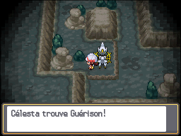 Tourb'Îles Guérison HGSS.png