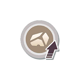 Renforcement Roche PM.png