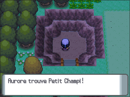 Route 209 Petit Champi DP.png
