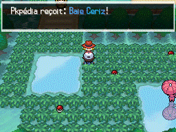 Route 6 Baie Ceriz 2 NB.png
