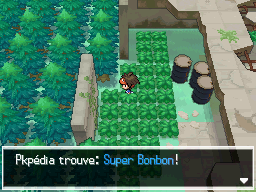 Fichier:Vestiges du Rêve Super Bonbon N2B2.png