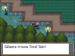 Parc Naturel Total Soin HGSS.png