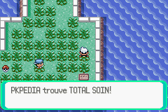 Fichier:Route 110 Total Soin RSE.png