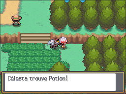 Route 30 Potion HGSS.png