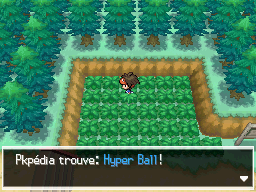 Fichier:Route 3 Hyper Ball 1 N2B2.png