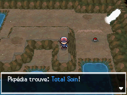 Veine Souterraine Total Soin NB.png
