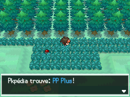 Fichier:Route 12 PP Plus N2B2.png