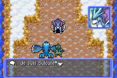 Le joueur face à Suicune.