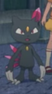 Farfuret de Dresseur - Film 23.png