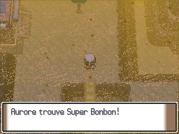 Route 228 Super Bonbon Pt.png