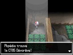 Vestiges du Rêve CT85 NB.png