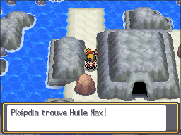 Chenal 41 Huile Max HGSS.png