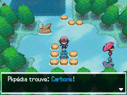 Tourbière Flocombe Carbone NB.png