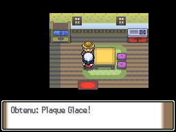 Route 217 Plaque Glace Pt.png