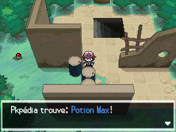 Vestiges du Rêve Potion Max NB.png
