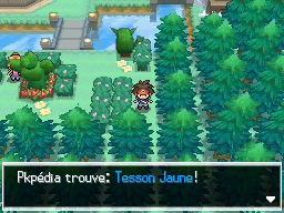 Fichier:Ogoesse Tesson Jaune N2B2.png