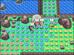 Passage Marin Shaymin.png