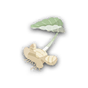 Miniature Rutabagaz LPA.png