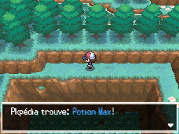 Route 10 Potion Max NB.png