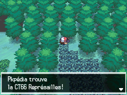 Route 16 CT66 NB.png