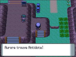 Route 205 Antidote DP.png