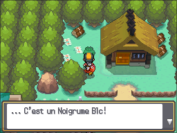 Ecorcia Noigrume Blanc HGSS.png