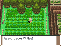 Route 213 PV Plus Pt.png