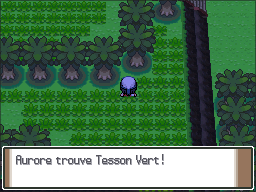 Route 225 Tesson Vert Pt.png