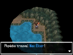 Fichier:Route Victoire Max Élixir 1 N2B2.png