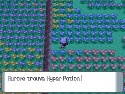 Pré Floraville Hyper Potion DP.png