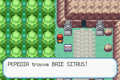 Route 23 Baie Sitrus RFVF.png