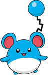 Marill (4)-CA.png