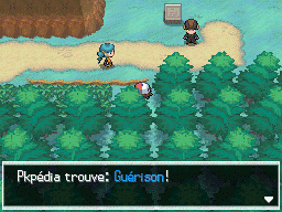 Route 10 Guérison NB.png