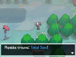 Route 8 Total Soin NB.png