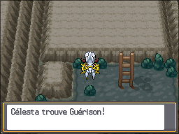 Tourb'Îles Guérison 3 HGSS.png