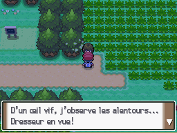 Cap ecran route 202 fillette yolène.png