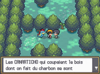 Bois aux Chênes Canarticho 1.png