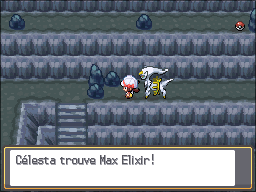 Grotte Argentée Max Elixir HGSS.png