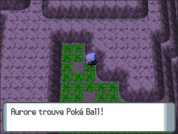 Route 211 Poké Ball DP.png
